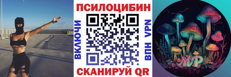 Купить  Кызыл  Галлюциногенные грибы Cubensis 